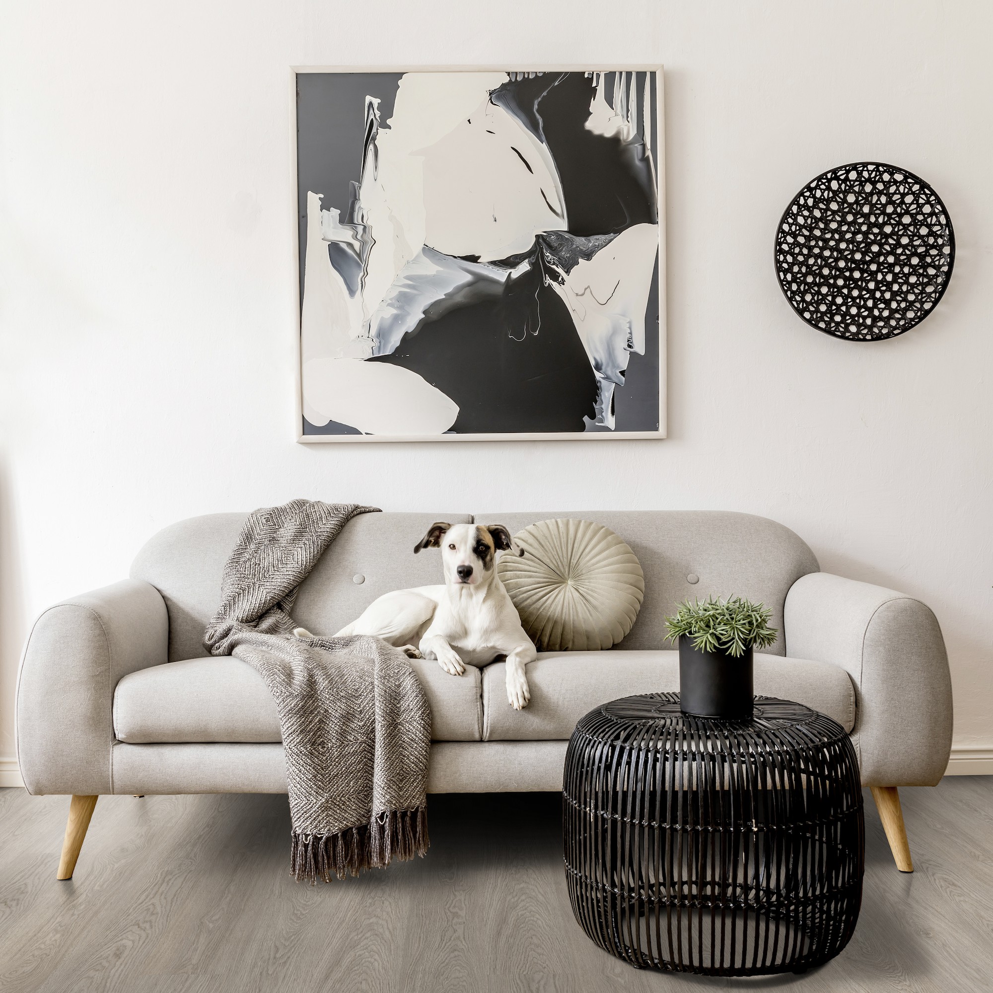 Greenland Grey salon Greenland Grey salon