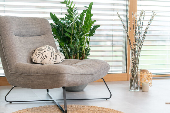 Clem Around The Corner Virtuo Clem Around The Corner Virtuo