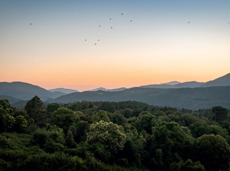 gerflor-nos-engagements gerflor-nos-engagements