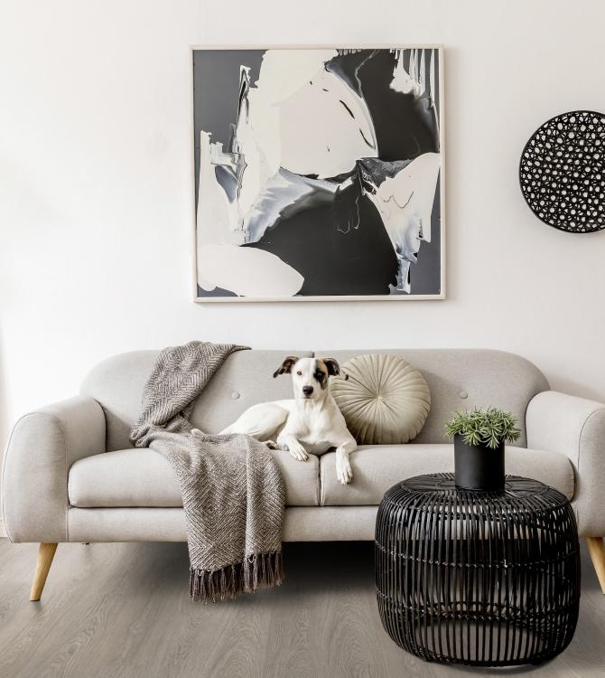 Greenland Grey salon Greenland Grey salon