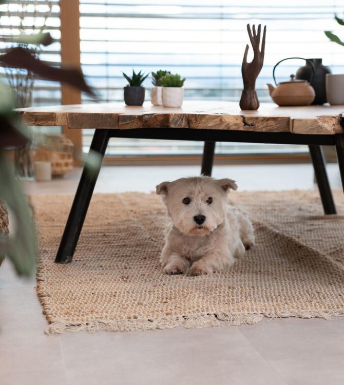 clem around the corner virtuo minimalist trend clem around the corner virtuo minimalist trend